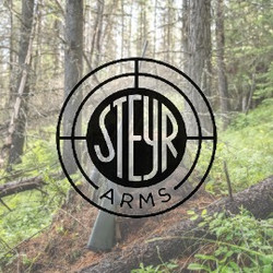 Steyr Arms